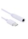 Generic USB To Type-C Audio Adapter Cable White