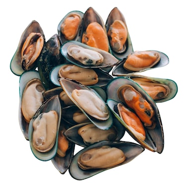 Frozen Half Shell Mussels