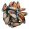 Frozen Half Shell Mussels