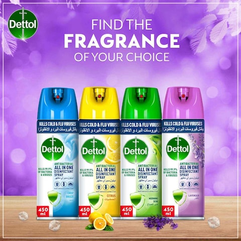 Dettol Lavender Antibacterial All in One Disinfectant Spray, 450ml