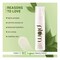 Plum Green Tea Mattifying Moisturizer 50ml