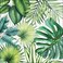 Ambiente Large Tropical Leaves Napkins