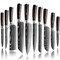 DFITO Kitchen Chef Knife Sets, 3.5-8 Inch Set Boxed Knives 440A Stainless Steel Ultra Sharp Japanese Knives, 10 Pieces Knife Sets for Professional Chefs