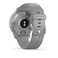Garmin Venu 2 Plus Silver Stainless Steel Bezel With Powder Grey Case And Silicone 010-02496-10