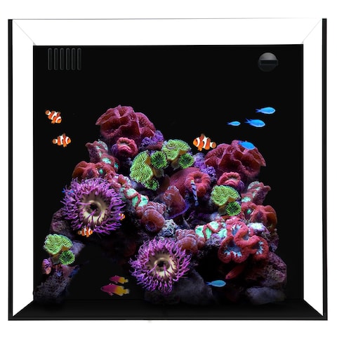 Water Box Cube 20 Glass Only L 60cm X W 45cm X H 40cm-Black