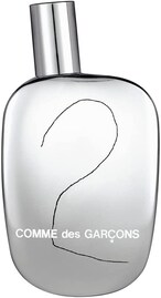 اشتري Comme Des Garcons 2 Eau De Parfum For Men - 100ml في الامارات