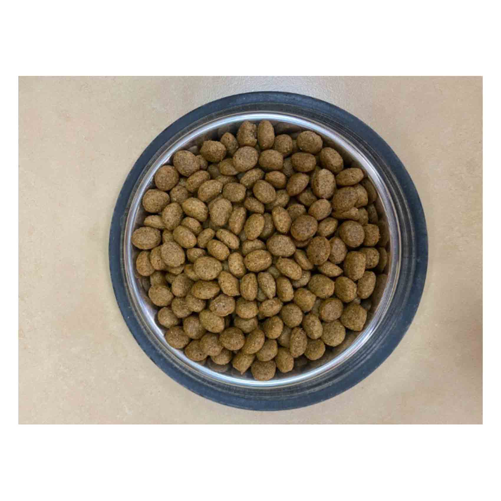 Buy Bravo Chicken Flavour Adult Dog Food 15Kg Online Carrefour Kenya