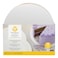Wilton Cake Circles 10inch 12 PCS