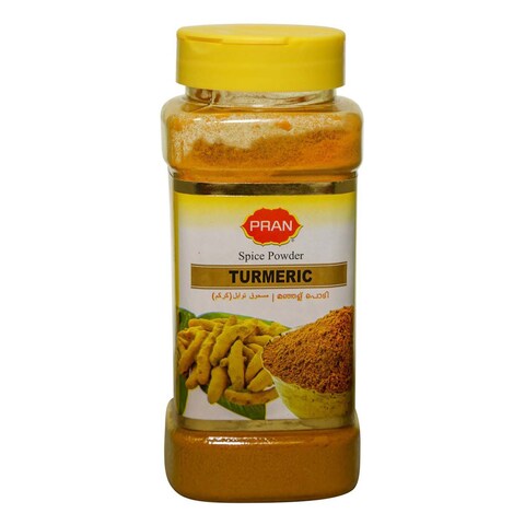 Turmeric Saudi Pran Turmeric Powder 400g price in Saudi Arabia | Carrefour Saudi ...