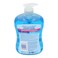 Astonish Yourself Clean And Protect Anti Bacterial Hand Wash 650ml