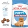 Size Health Nutrition Mini Indoor Puppy 1.5 KG