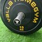 Yalla HomeGym High-Quality Olympic Bumper Weight Plate for Barbells PAIR of 15KG