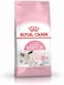 Royal Canin Feline Health Nutrition Mother &amp; Babycat 4 Kg