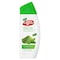 Lifebuoy Matcha Green Tea And Aloe Vera Anti Bacterial Body Wash Green 300ml