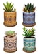 Generic 4 Pcs Succulent Plant Pots Small Modern Ceramic Indoor Planter With Bamboo Tray For Cactus Herbs Home Design 6 (Plants Not Included)