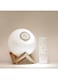 Generic Moon Lamp LED Quran Speaker Multicolour