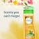 Herbal Essences Bee Strong Strengthening Shampoo with Honey Essences 400 ml&nbsp;