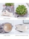 Generic 4 Pcs Cute Succulent Planter, Succulent Pots With Drainage Hole Flower Plant Pot Cartoon Ceramic Tiny Pot For Indoor Mini Flower Planters Cactus Container Set Of 4