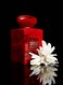 Giorgio Beverly Hills Prive Rouge Malachite Eau De Parfum For Unisex, 100ml