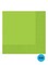 Party Time 24-Piece Party Tissue 6.5inch - Green