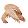 Frozen Tiger Shrimp U6