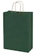 Dark Green Paper bags with handles 33 x 26 x 12 cm Large Kraft Gift bags for Birthday Party Supplies, Weddings, Shopping, Presents (12 Bags)