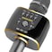 Magic Sing MP30 Mobile Karaoke Microphone Black