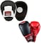Max Strength Focus Pad + Revenger Gloves 12Oz