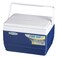 PINNACLE ESKIMO COOLER BOX 11LT