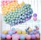 Simple Polymer 200 Pcs 10 Inches Macaron Party Pastel Balloons Candy Colored For Birthday Baby Shower Party Decoration,Macaron