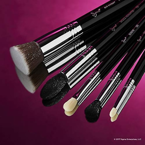 Sigma Beauty Sigma Most-Wanted Brush Set