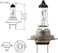 OSRAM Halogen Headlight Lamp Bulb H7 (12V 55W) 64210 - Pack of 1