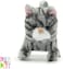 ZOE WALKING CAT, MEOW BUDDIES,