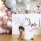 Balloon Garland Arch Kit Comes  5 To 18 Inches Macaron Colorful Thicken Balloons Used for Wedding Decoration Birthday Party Baby Shower Supplies (Pink-Gray) (169 Pcs)