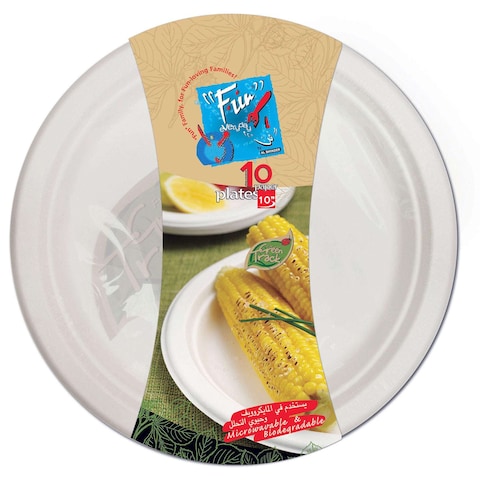 Buy Fun Biodegradable Moulded Fiber Plate White 10inch 10 PCS in UAE