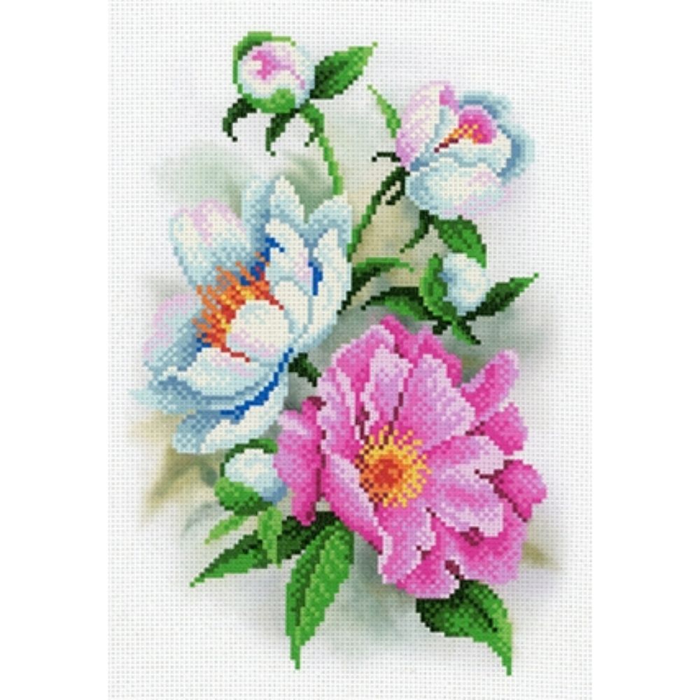 Buy Mp Studio - Drawing On Fabric Sc-011 Marvelous Pions - Diagram Of ...