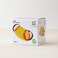 Plantoys Wooden Concertina