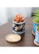 Generic 4 Pcs Succulent Plant Pots Small Modern Ceramic Indoor Planter With Bamboo Tray For Cactus Herbs Home Design 5 (Plants Not Included)
