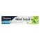Himalaya Mint Fresh Herbal Toothpaste 100ml