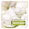 LUX BAR SOAP RADNT SKN JASMN 120G