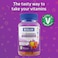 Bioglan Vitagummies, Family Multivitamin Supplement, Vegetarian Friendly, 3 Delicious Flavours, 60 Chewy Gummies