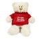 Caravaan, Supersoft, Cuddly Teddy Bear With Trendy Red Hoodie I Love You More Than I Can Bear Size 38cm Ideal For Birthdays, Boys, Girls Parties Soft And Cuddly