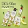 Hair Food Sulfate Free Shampoo with Avocado &amp; Argan Oil Dye Free Smoothing Treatment 300ml
