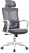 LANNY High Back Mesh Chair Computer Adjustable Ergonomic Swivel Lift Office Chair,Mordern Arms Chair,Swivel Computer Home Task Chairs, Suitable for Meeting and Reception,Study Chair (grey)
