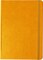 Collins A5 Legacy Feint Ruled Notebook - Bright Orange