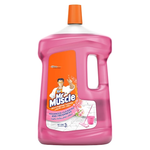 Buy Mr. Muscle All-Purpose Cleaner Floral Perfection 3L in UAE