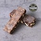 Veloforte Di Bosco Energy Bar - Red Berries, Almonds and Pistachios  - 9 count x 62g - 5gr plant protein bar, 40gr Carbs, Rich in Dual source Carbohydrates, 100% Natural, Vegan, Gluten Free