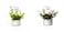 Aiwanto Flower vase Artificial Flowers With Vase  Decoration Home Decor Piece Tabletop Decoration(2Pcs)