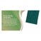 Vileda Pan Scourer 3 Count