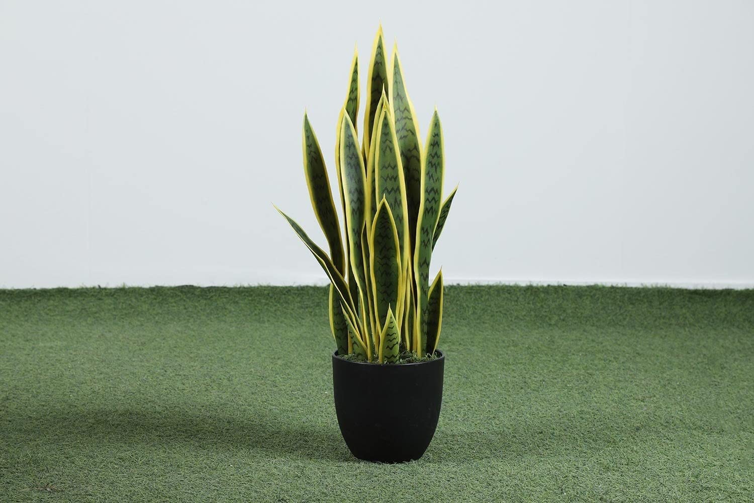 PAN Home Sansevieria Potted Plant Green/Yellow H66cm